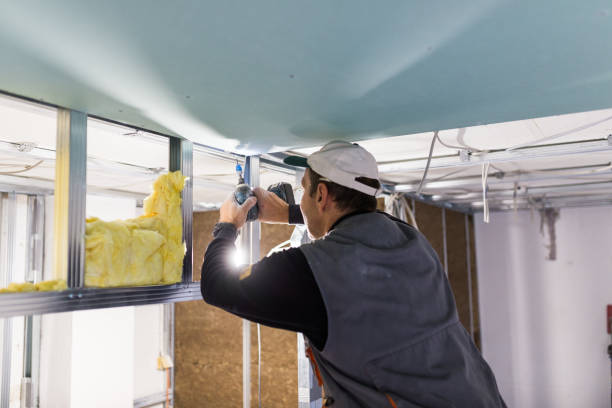 Best Commercial Insulation in Archie, MO